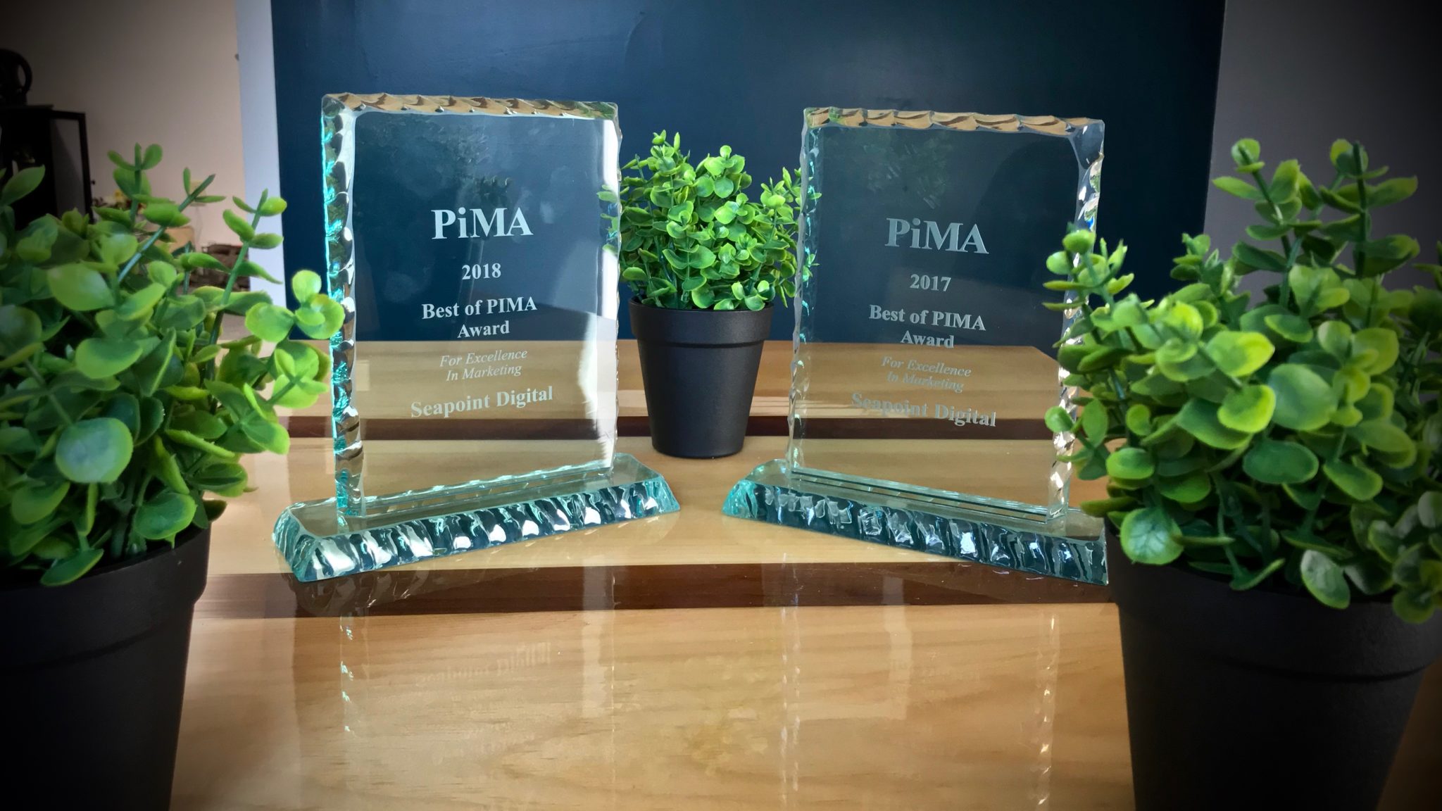 PiMA award insurance marketing